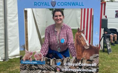 Editor’s top story picks show range of local news